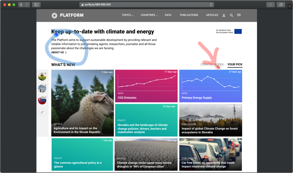 Remote testing of the prototype through Surfly